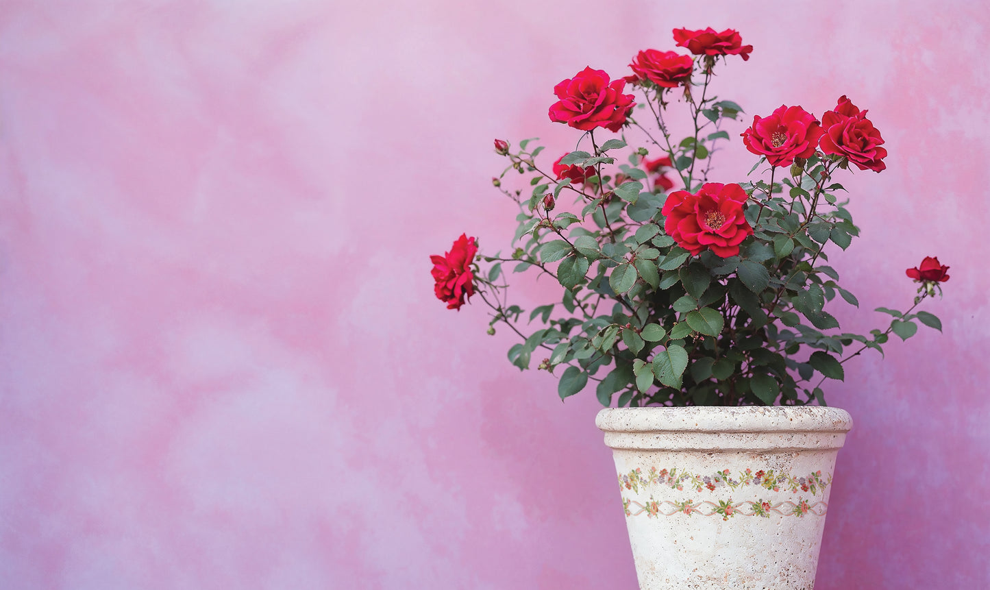 IOD Ditsy Blooms Paint Inlay