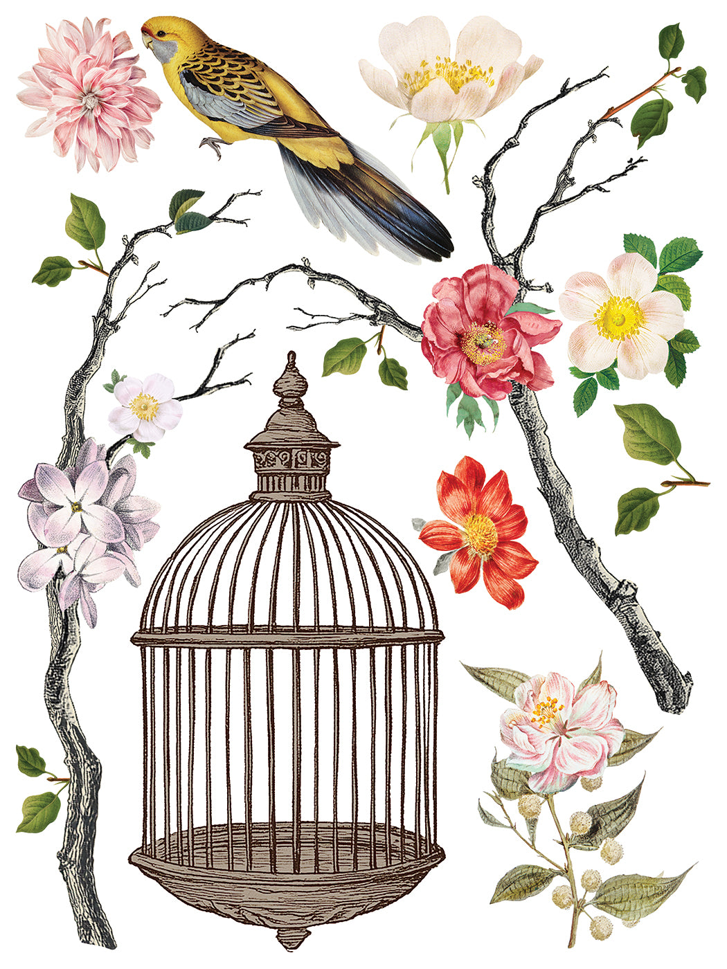 IOD Menagerie Transfer 12x16 Pad
