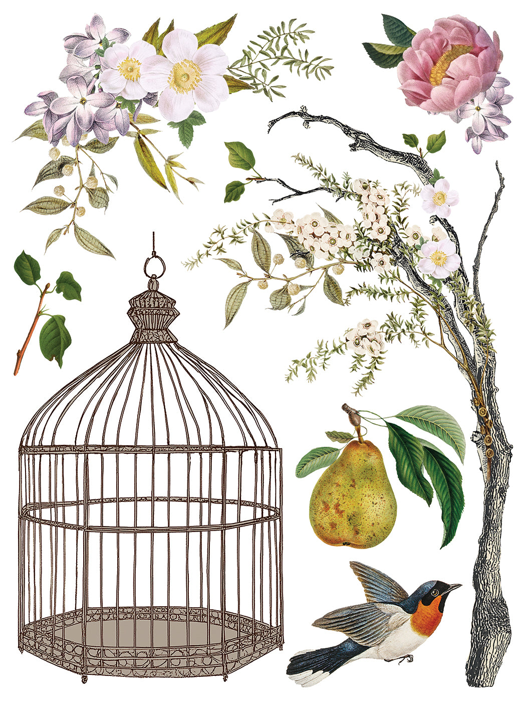 IOD Menagerie Transfer 12x16 Pad