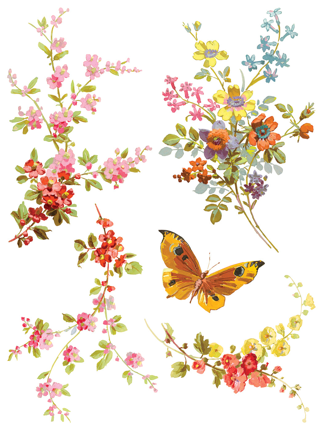IOD Saint Germaine Transfer 12x16 Pad
