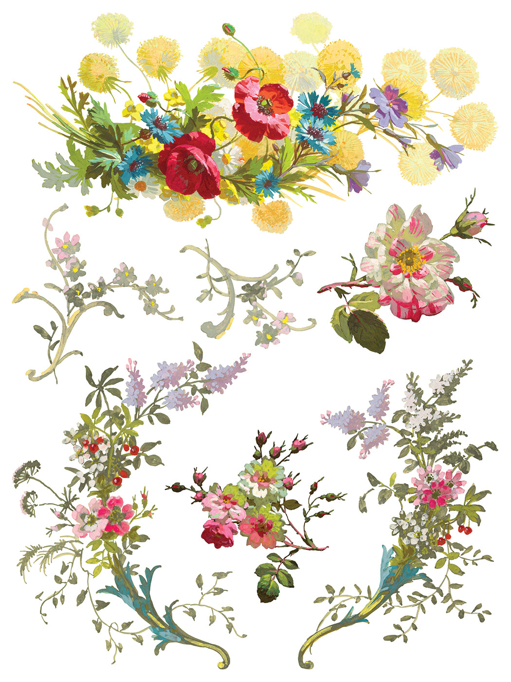 IOD Saint Germaine Transfer 12x16 Pad