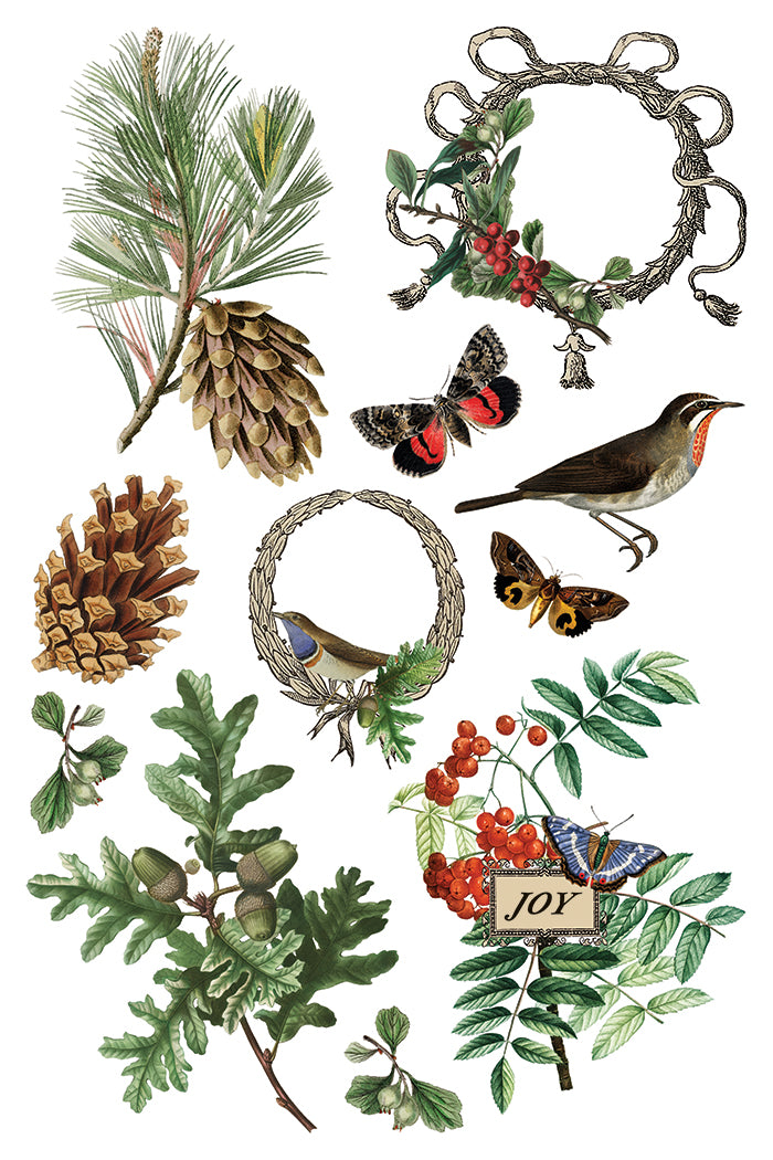 IOD Winter Botanist 8 x 12 Pad
