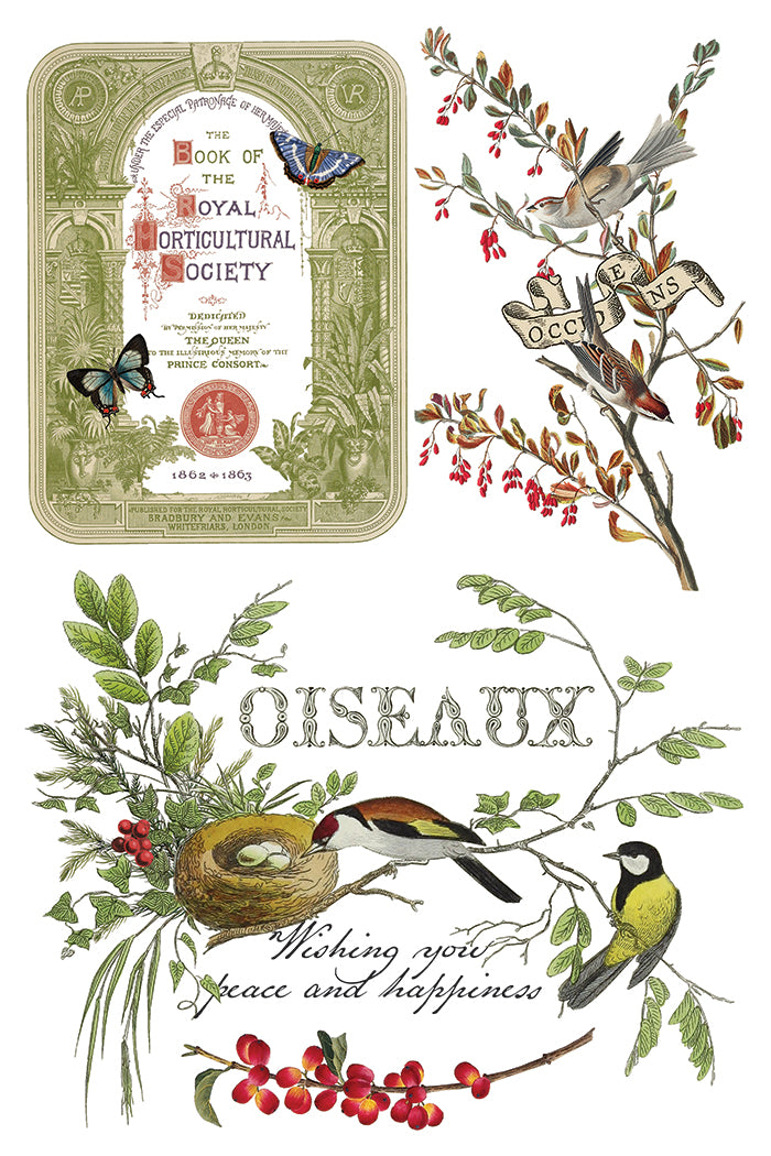 IOD Winter Botanist 8 x 12 Pad