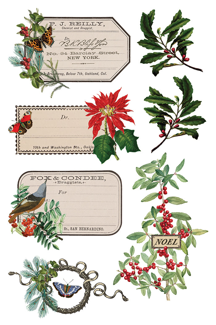 IOD Winter Botanist 8 x 12 Pad