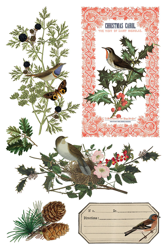IOD Winter Botanist 8 x 12 Pad
