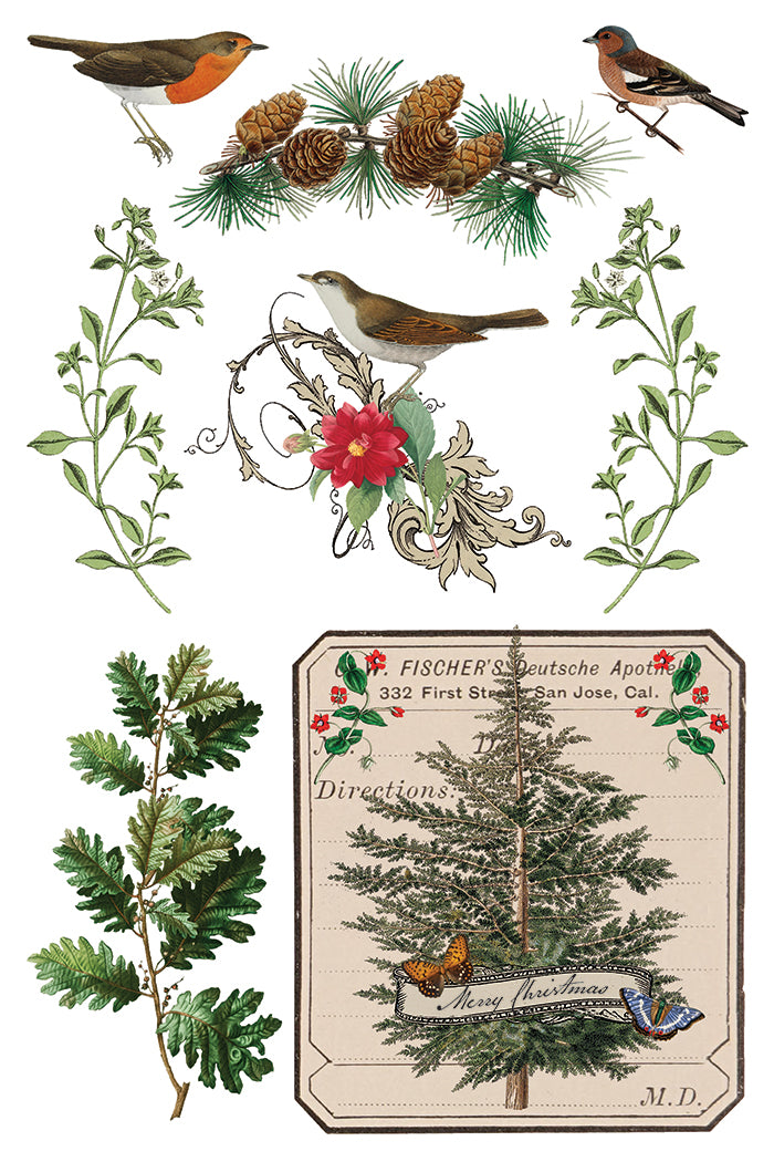 IOD Winter Botanist 8 x 12 Pad