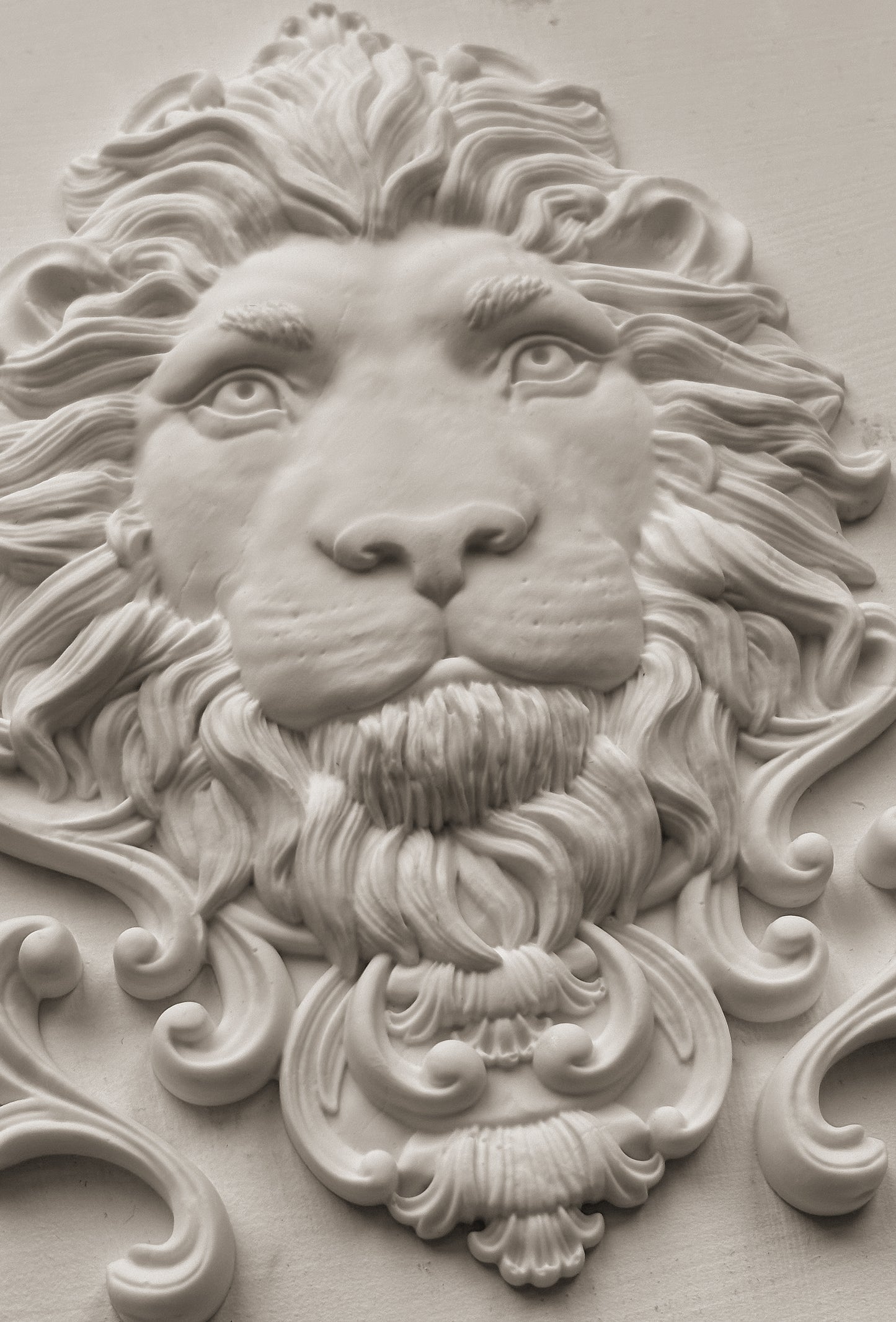 IOD Mould Leonidas 6X10