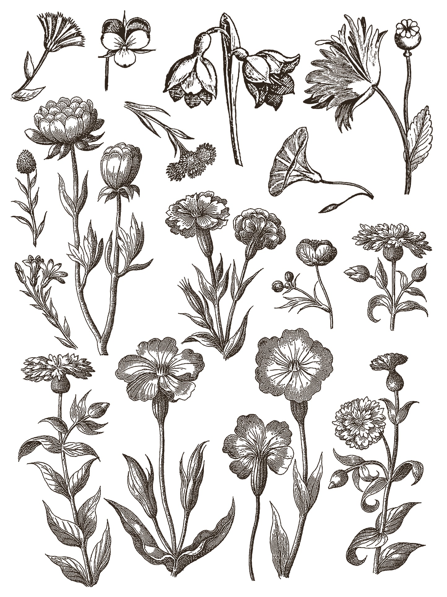 Floriography IOD Paint Inlay