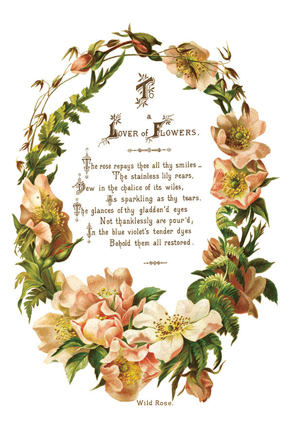 IOD Lover of Flowers Transfer -  BEST SELLER - shipping to you March 20th
