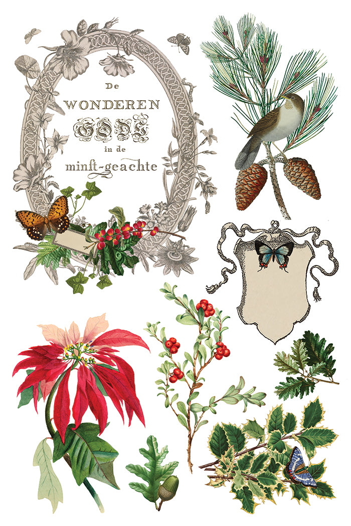 IOD Winter Botanist 8 x 12 Pad