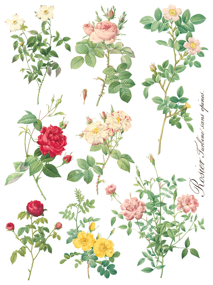 Rose Botanical - IOD Transfer