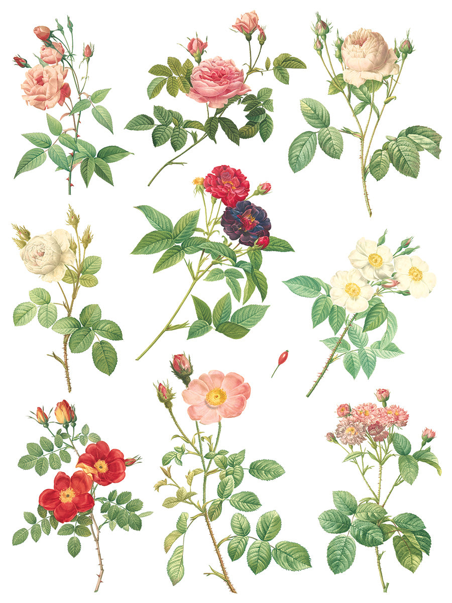 Rose Botanical - IOD Transfer