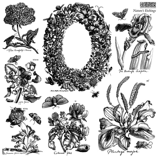 IOD Nature's Etchings 12x12 IOD Stamp™  (2 Sheets)