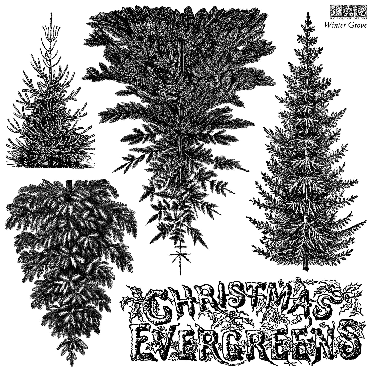 IOD Winter Grove 12x12 I OD Stamp™ -Restock soon