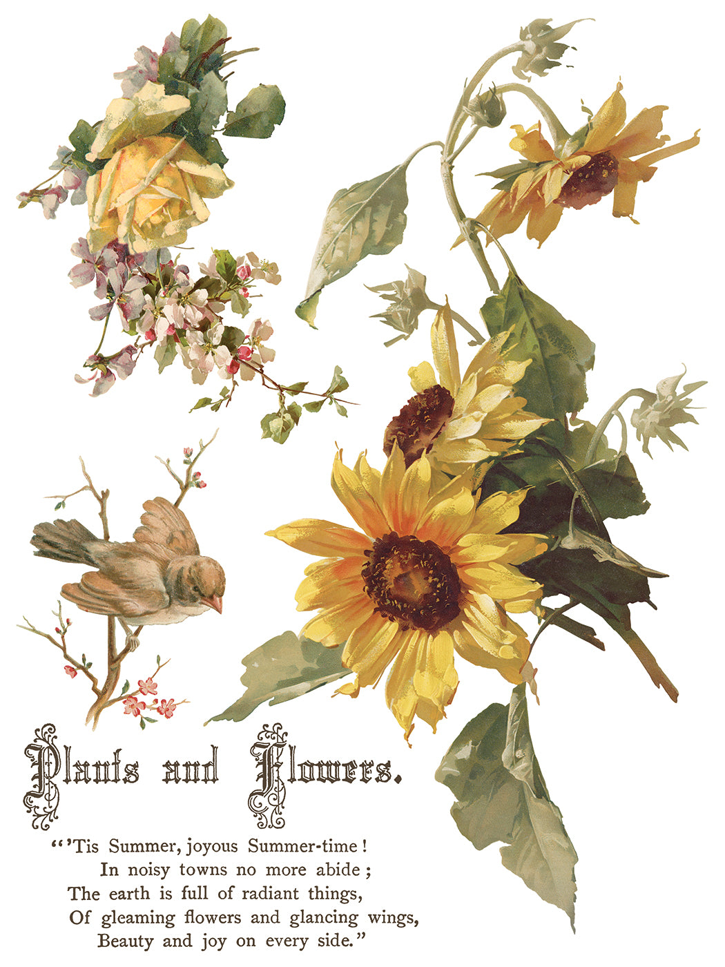IOD Transfer Flowers by the Poets 12x16 Pad™