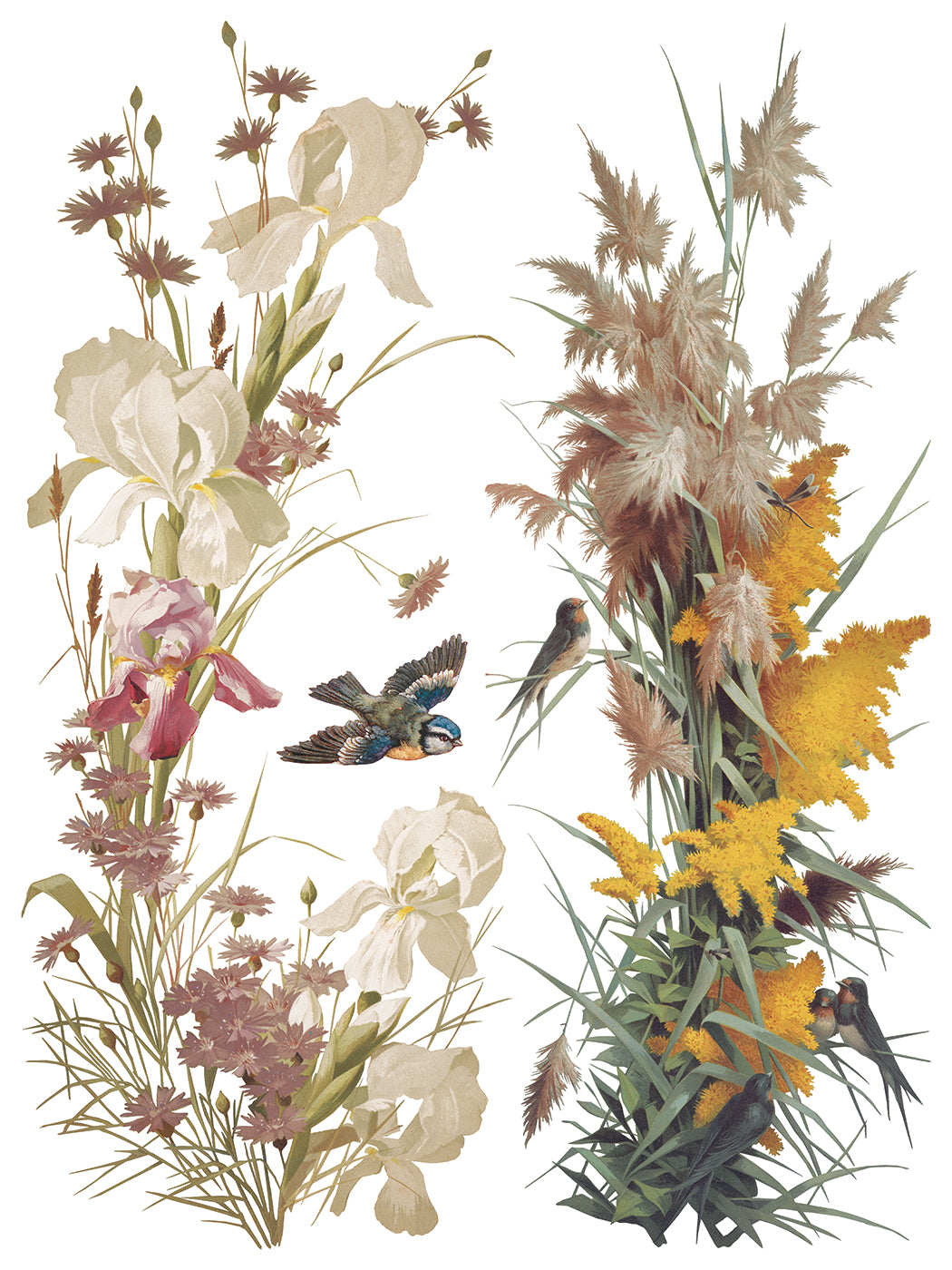 IOD Transfer Flowers by the Poets 12x16 Pad™