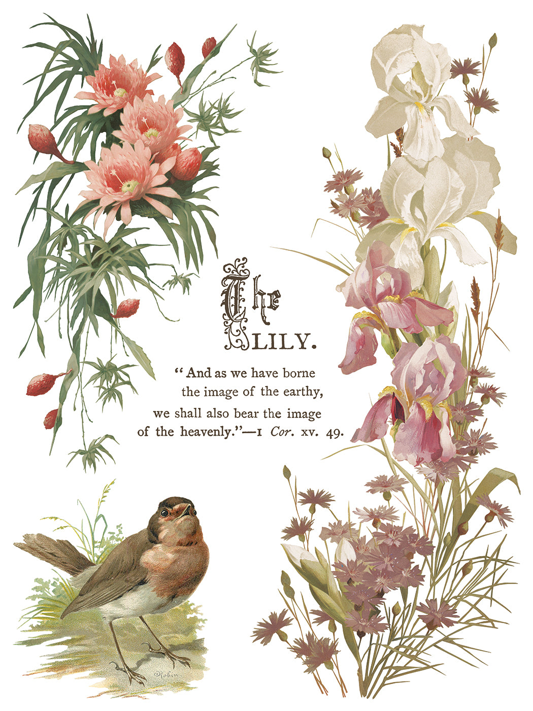 IOD Transfer Flowers by the Poets 12x16 Pad™