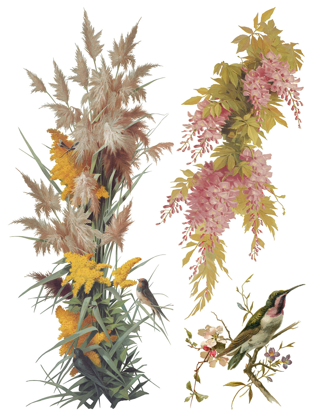 IOD Transfer Flowers by the Poets 12x16 Pad™