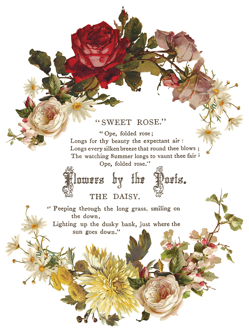 IOD Transfer Flowers by the Poets 12x16 Pad™