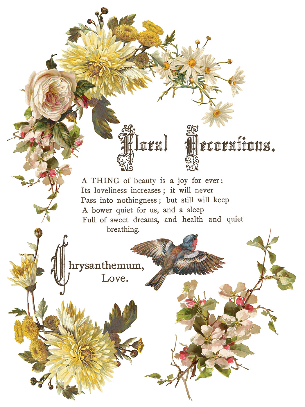 IOD Transfer Flowers by the Poets 12x16 Pad™