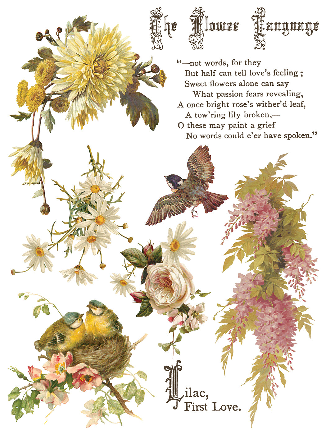 IOD Transfer Flowers by the Poets 12x16 Pad™