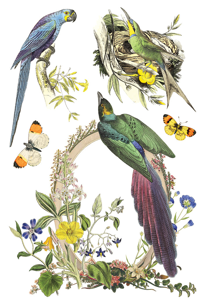 IOD Flora Greca Transfer 8x12 Pad™