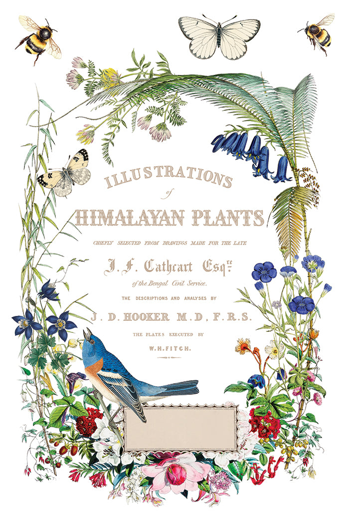 IOD Flora Greca Transfer 8x12 Pad™