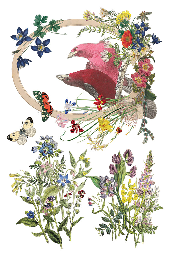 IOD Flora Greca Transfer 8x12 Pad™