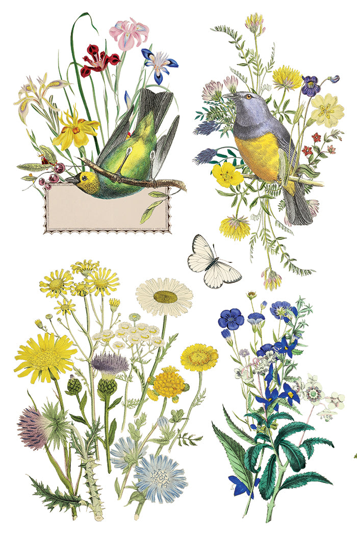 IOD Flora Greca Transfer 8x12 Pad™