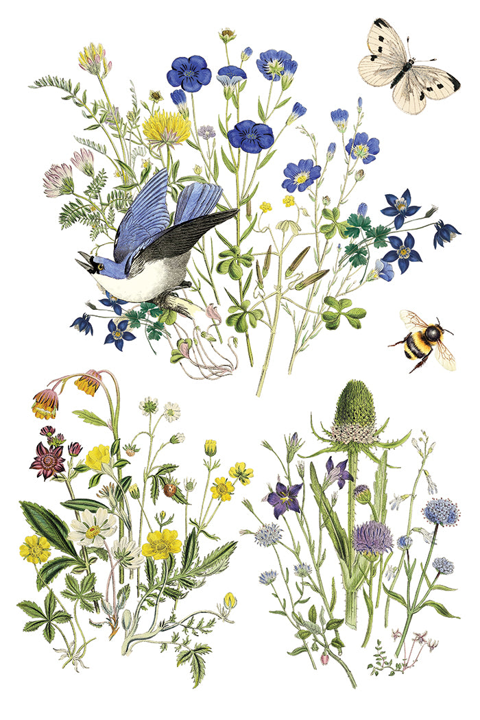 IOD Flora Greca Transfer 8x12 Pad™