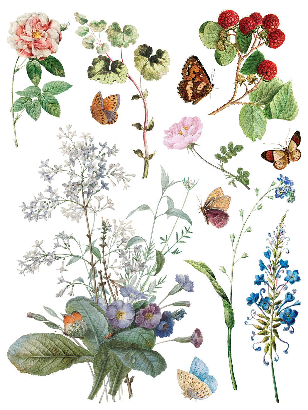 IOD Transfer Marche des Fleurs 12x16 Pad™