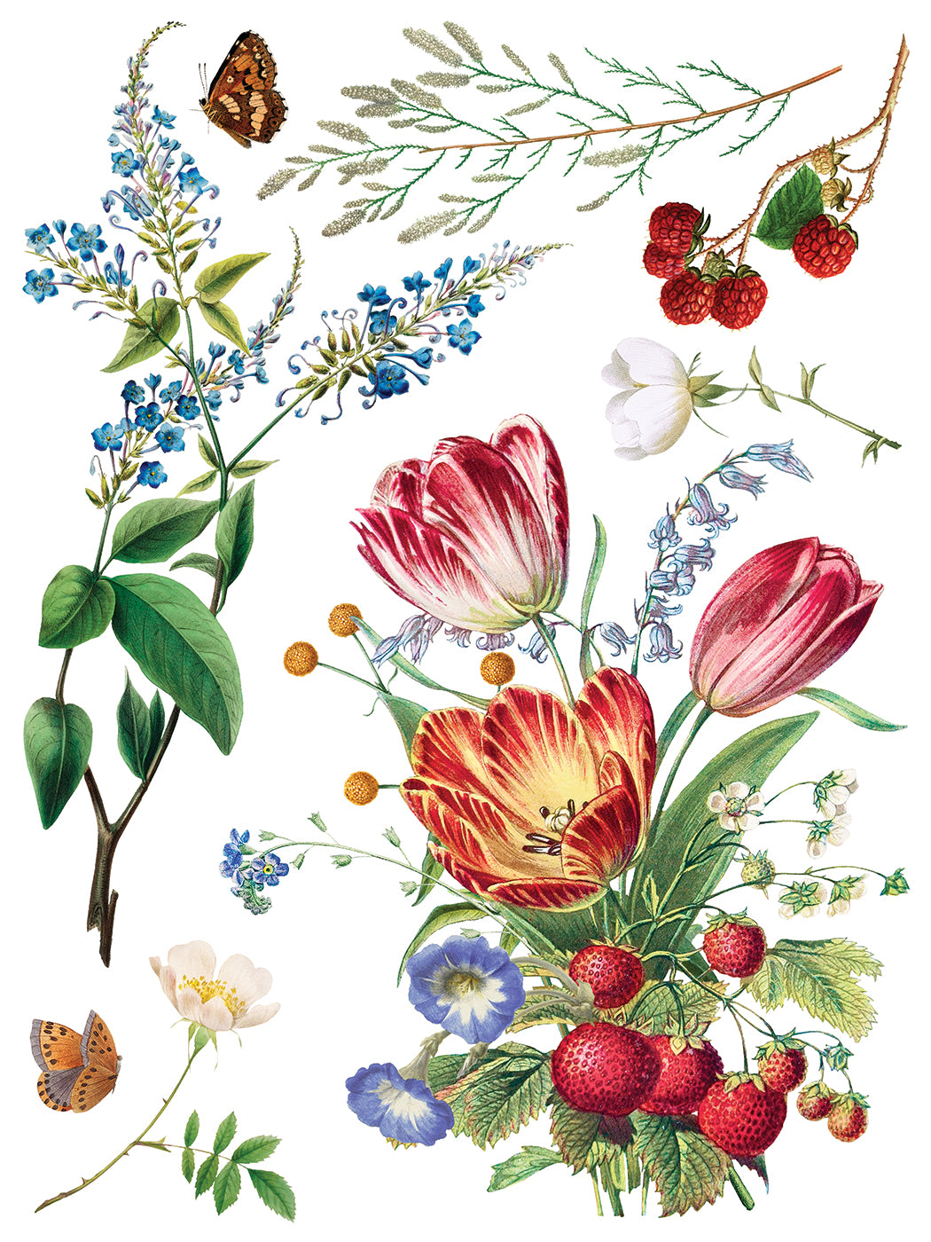 IOD Transfer Marche des Fleurs 12x16 Pad™
