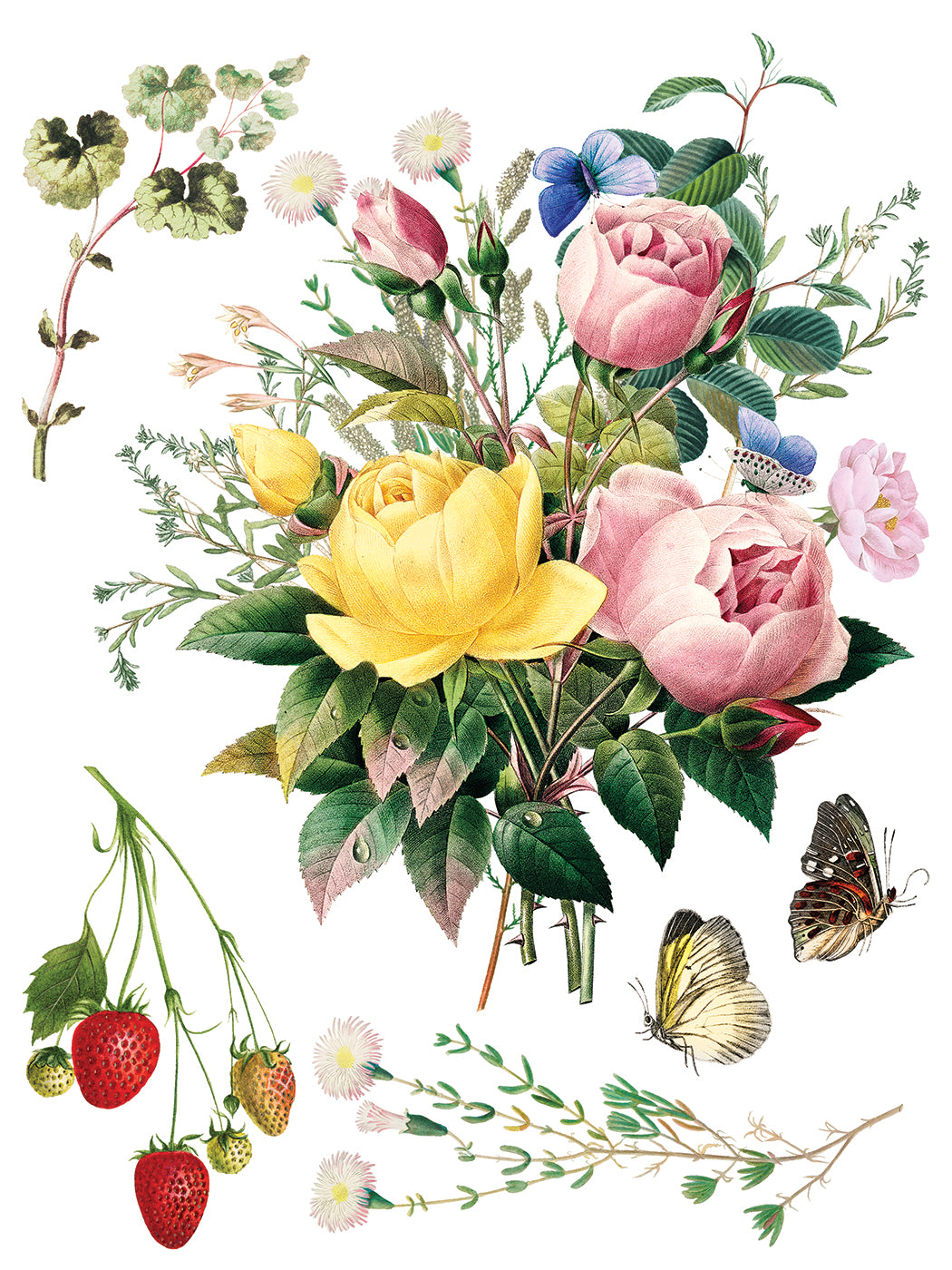 IOD Transfer Marche des Fleurs 12x16 Pad™