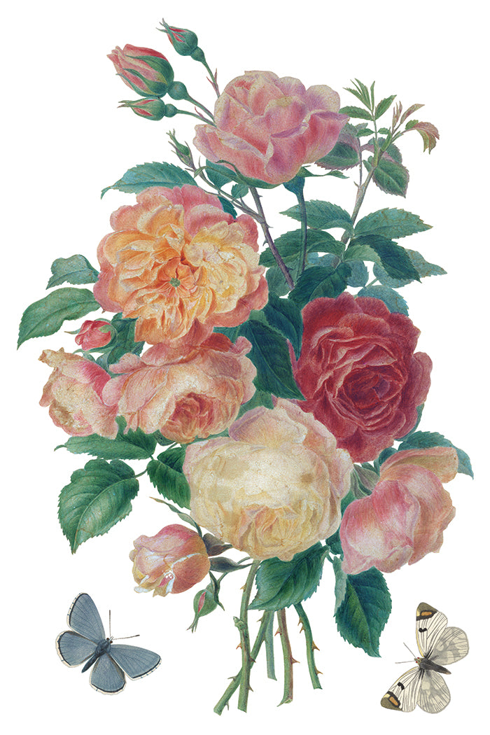 IOD Saint Ouen Transfer 8x12 Pad™