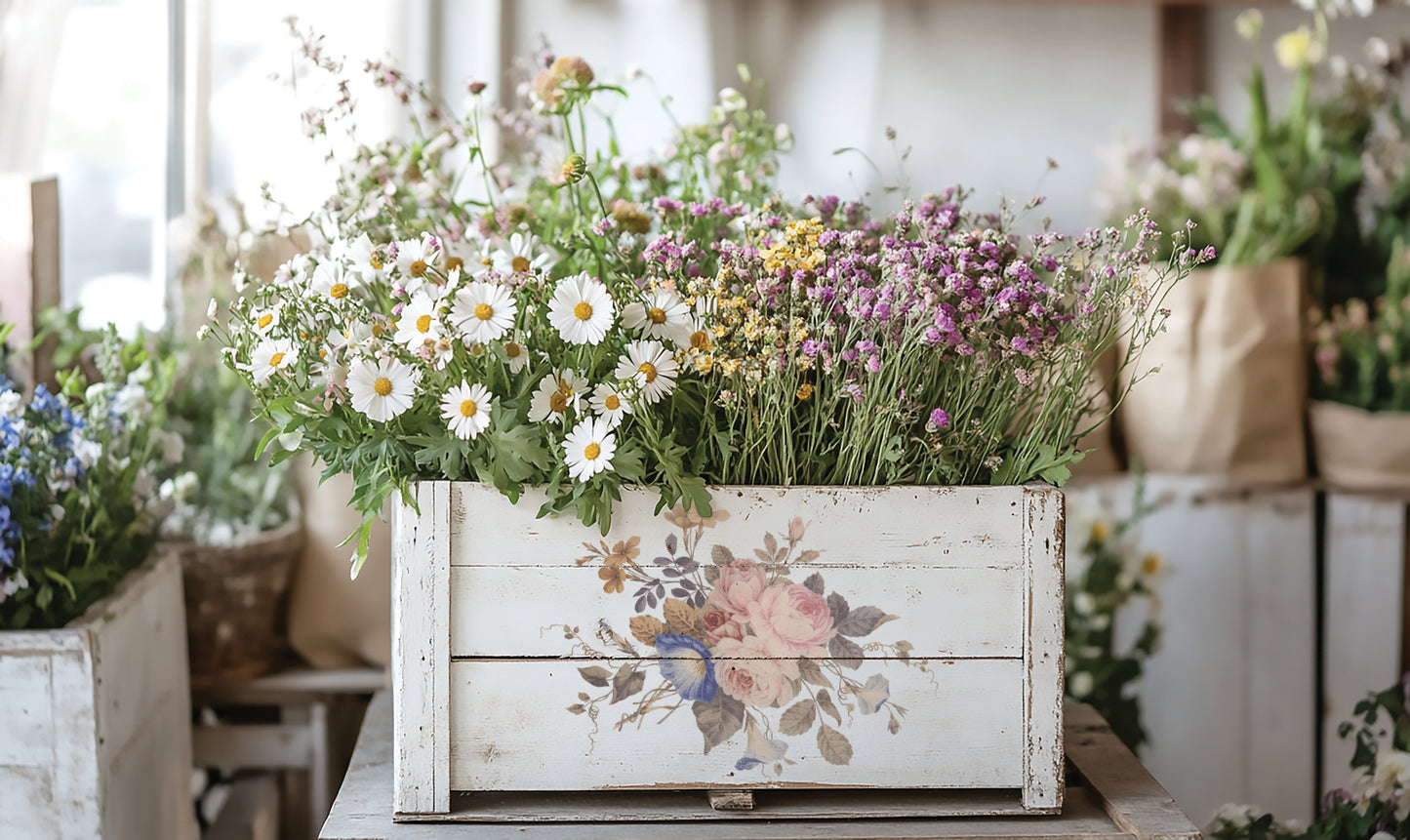 IOD Saint Ouen Transfer 8x12 Pad™