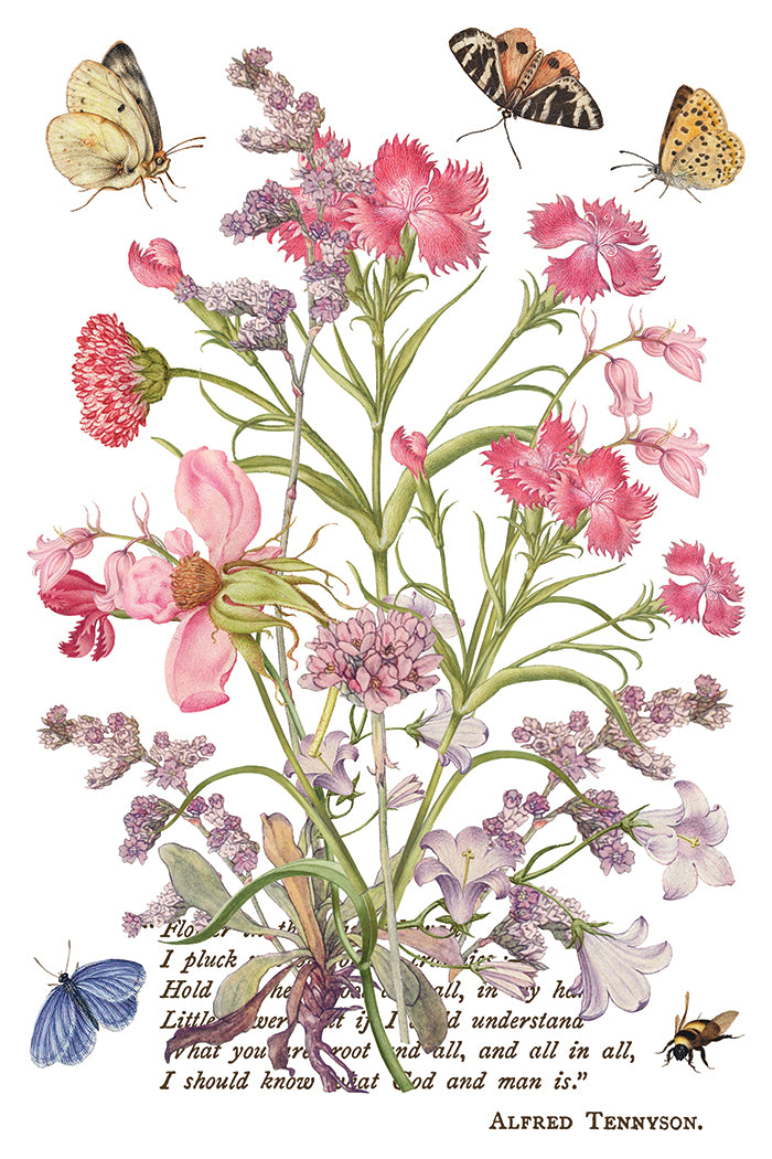 IOD Transfer Primrose Isle 8x12 Pad™